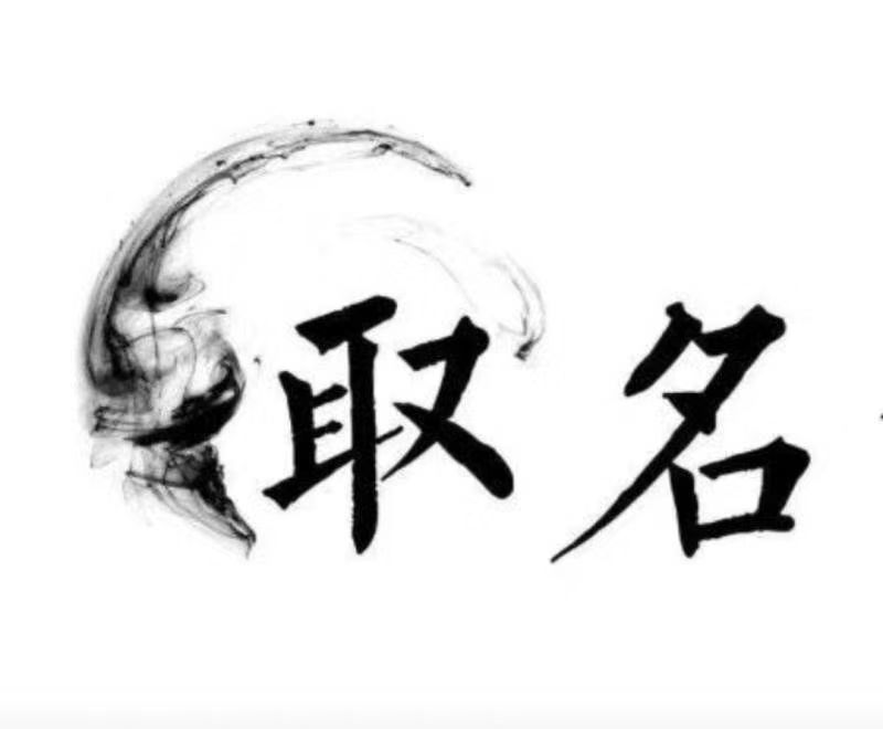  忠县宝宝取名 大师一对一人工起名